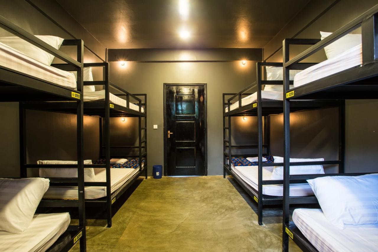 White Rabbit Hostel Siem Reap Zewnętrze zdjęcie